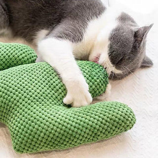 Catnip Toys Cats Scratcher Pillow Pet Plushy - Plushie Depot