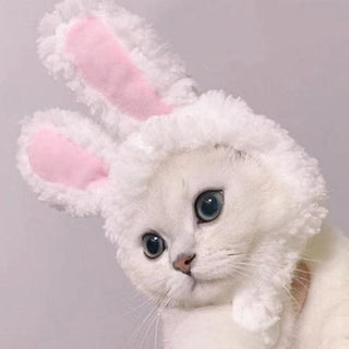 Cute Cat Bunny Ears Hats - Plushie Depot