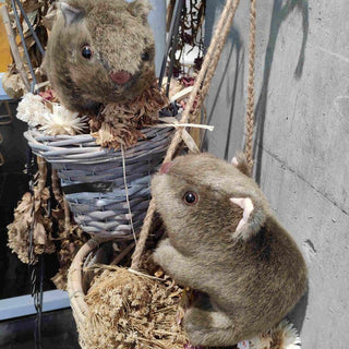 Realistic Wombat Plushie Plushie Depot