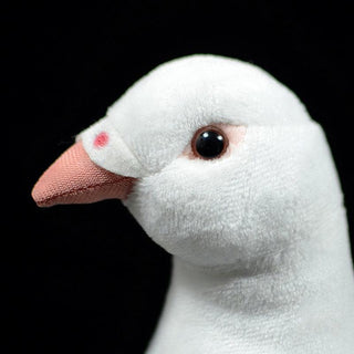 Realistic Wild Pigeon Plush Toys Stuffed Animals - Plushie Depot