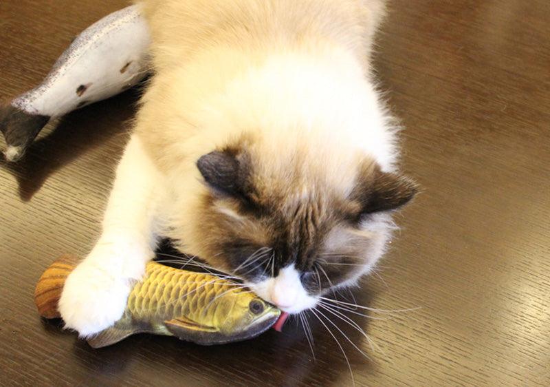 Funny Fish Cat Plush Toys Pet Toys Plushie Depot
