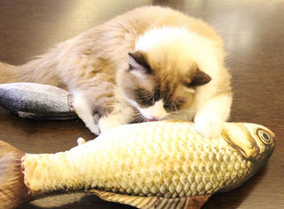 Funny Fish Cat Plush Toys Plushie Depot