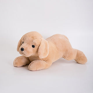 Adorable Golden Retriever Plushies with Hoodies Plushie Depot
