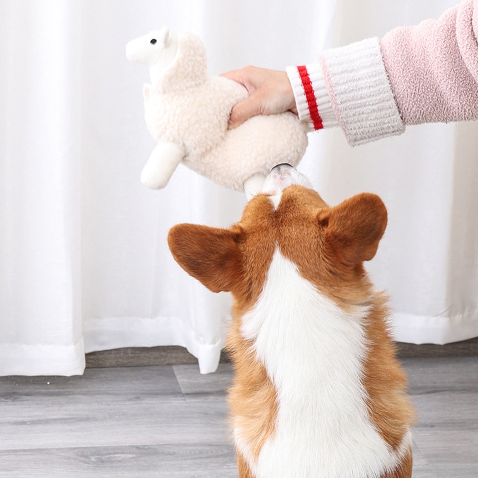 Plush Sheep Squeaky Dog Toy Pet Toys - Plushie Depot