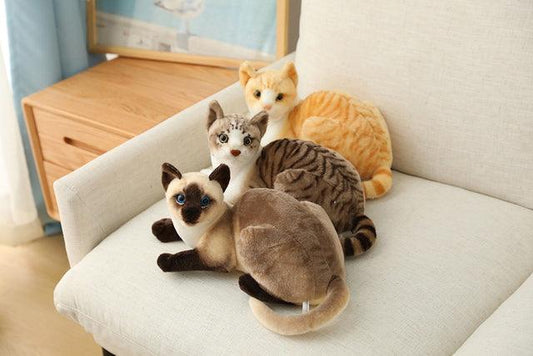 American Shorthair and Siamese Cat Plush Toys 8 Stuffed Animals Plushie Depot