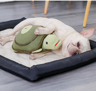Dog Pet Toy Puzzle Tortoise Plush Toy Plushie Depot
