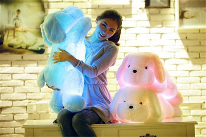 Luminous Colorful Teddy Dog LED Light Plush Pillow Toy Teddy bears Plushie Depot