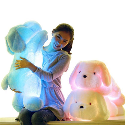 Luminous Colorful Teddy Dog LED Light Plush Pillow Toy Teddy bears Plushie Depot