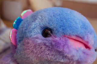 Rainbow Axolotl Fish Plushie Plushie Depot