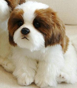 Adorable Puppy Plushies Papillon 9''X6''X8'' Plushie Depot