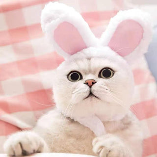 Cute Cat Bunny Ears Plushie Depot