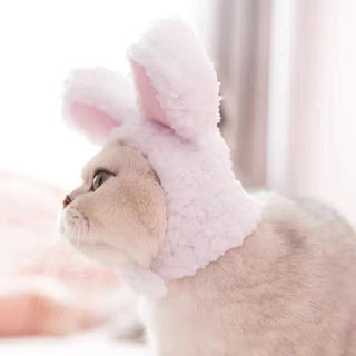 Cute Cat Bunny Ears Plushie Depot